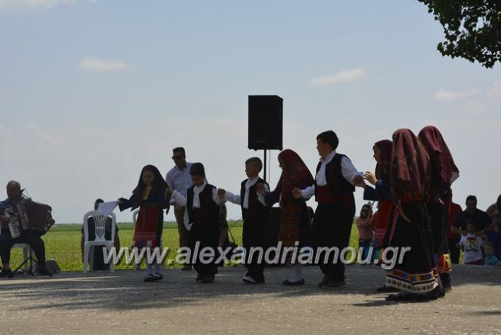 alexandriamou.gr_trikala28.5.2018160